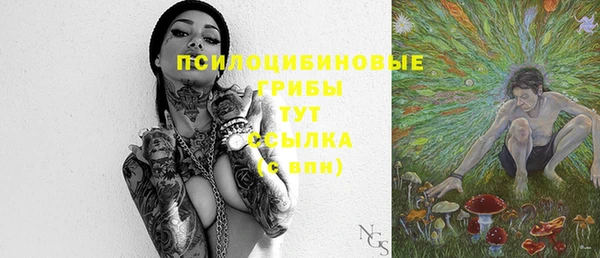молекула духа Инсар