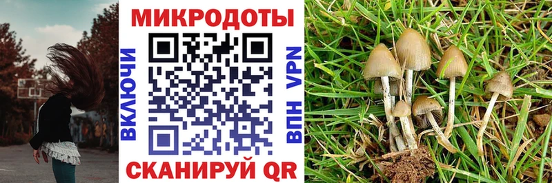 как найти наркотики  Ивантеевка  Галлюциногенные грибы ЛСД 